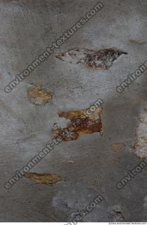 wall plaster damaged 0012